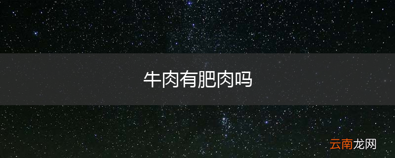 牛肉有肥肉吗