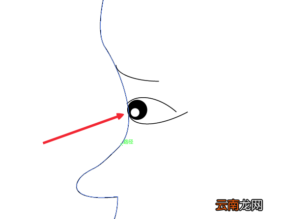 ai设计出简笔画效果人物侧脸具体操作步骤