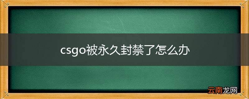 csgo被永久封禁了怎么办