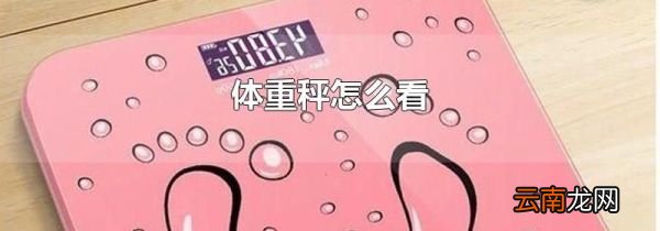体重秤怎么看