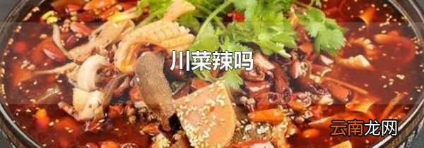 川菜辣吗