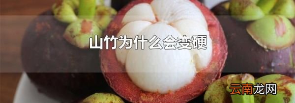 山竹为什么会变硬