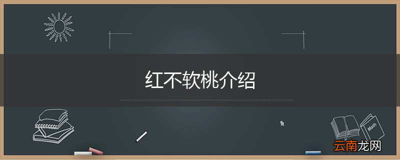 红不软桃介绍