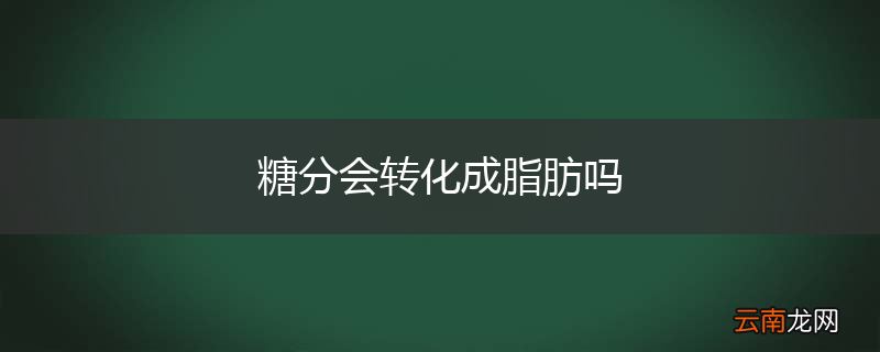 糖分会转化成脂肪吗