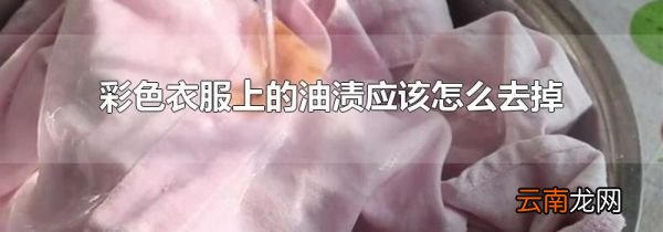 彩色衣服上的油渍应该怎么去掉