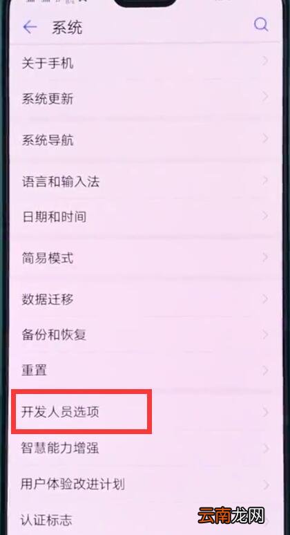 华为p20中打开开发人员选项的操作步骤