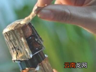 气泡酒怎么开