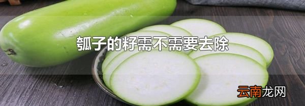 瓠子的籽需不需要去除
