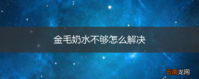 金毛奶水不够怎么解决