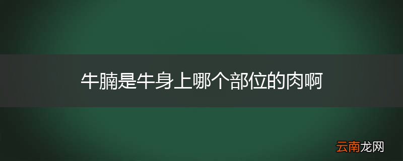 牛腩是牛身上哪个部位的肉啊