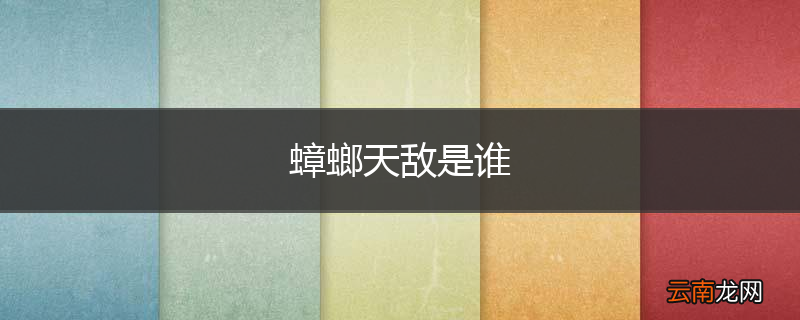 蟑螂天敌是谁