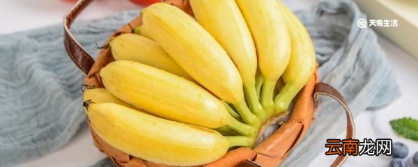香蕉能不能放袋子里捂 香蕉能放在袋子里吗
