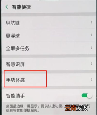 oppo手机中设置黑屏手势的详细步骤