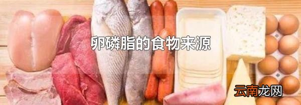 卵磷脂的食物来源
