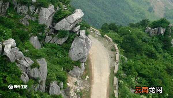 衡阳与梦得分路赠别翻译及赏析 衡阳与梦得分路赠别赏析