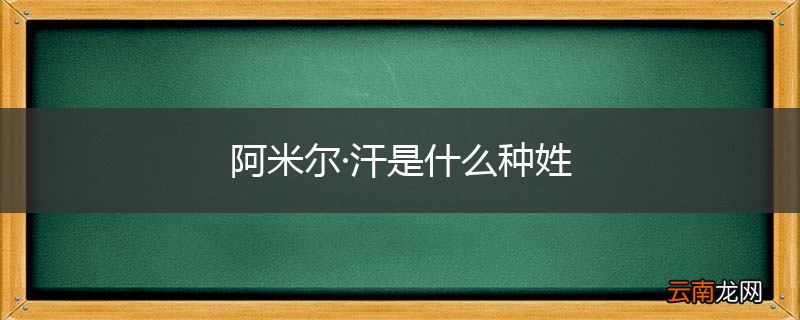 阿米尔·汗是什么种姓