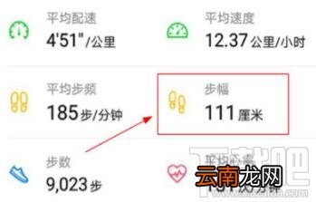 悦跑圈怎么看步幅？悦跑圈看步幅的方法