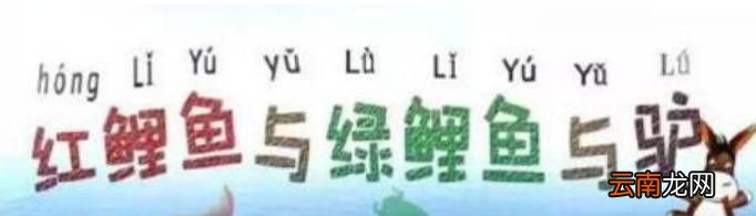红鲤鱼与绿鲤鱼绕口令完整版是怎样的？