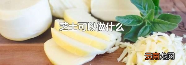 芝士可以做什么