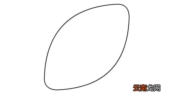 橄榄球简笔画 橄榄球简笔画怎么画
