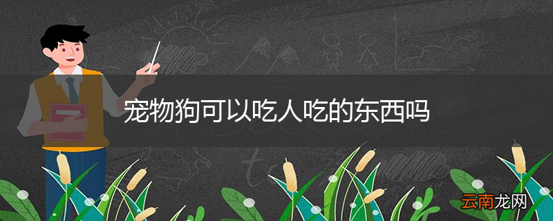 宠物狗可以吃人吃的东西吗