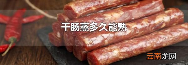 干肠蒸多久能熟