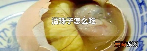 活珠子怎么吃
