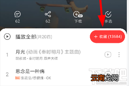 网易云音乐官方VIP歌单怎么查看？网易云音乐官方VIP歌单查看方法分享