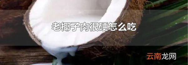 老椰子肉很硬怎么吃