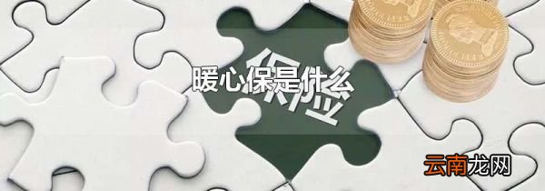 暖心保是什么