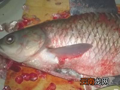 青鱼怎么处理干净