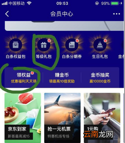 京东白条临时额度不见了怎么办