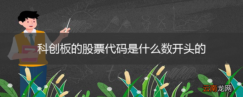科创板的股票代码是什么数开头的