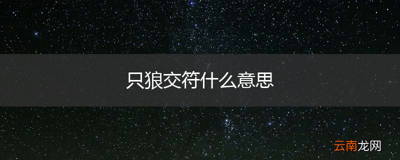 只狼交符什么意思