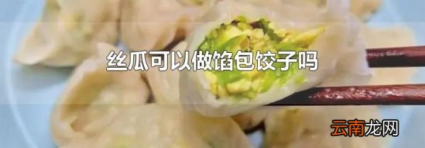 丝瓜可以做馅包饺子吗