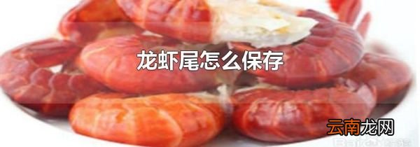 龙虾尾怎么保存