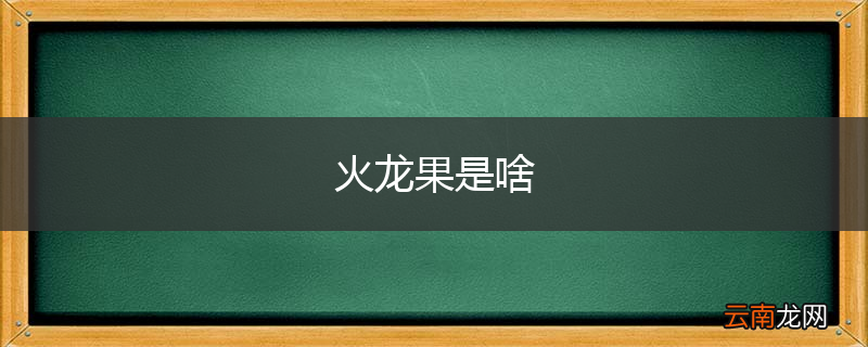 火龙果是啥