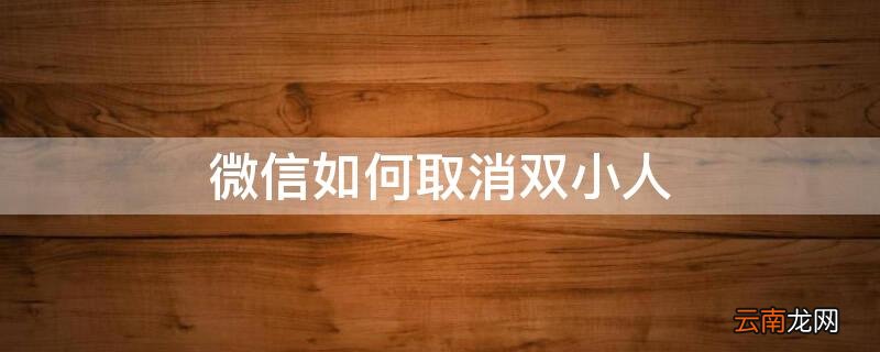 微信如何取消双小人 微信如何取消双小人图标