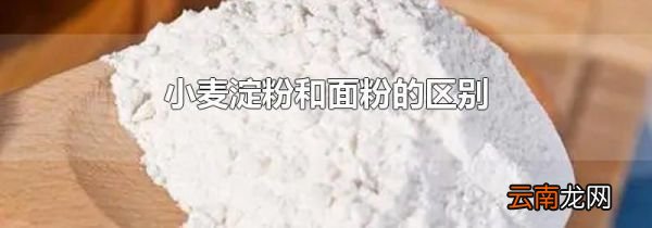 小麦淀粉和面粉的区别