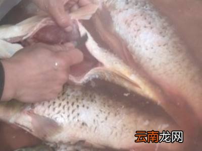 鱼怎么洗