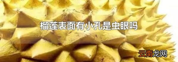 榴莲表面有小孔是虫眼吗