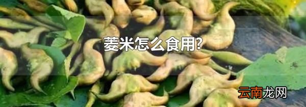 菱米怎么食用?