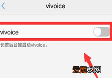 vivoy93s中将语音助手打开具体操作流程
