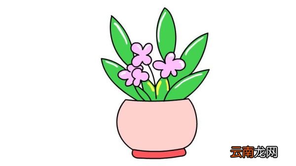 花简笔画