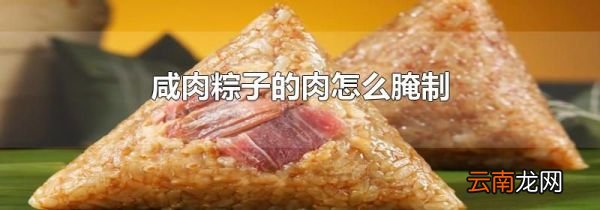 咸肉粽子的肉怎么腌制