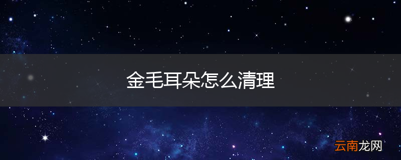 金毛耳朵怎么清理