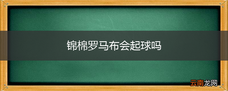 锦棉罗马布会起球吗