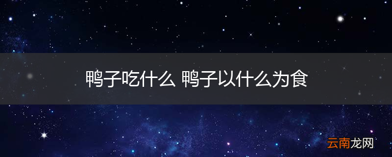 鸭子吃什么 鸭子以什么为食