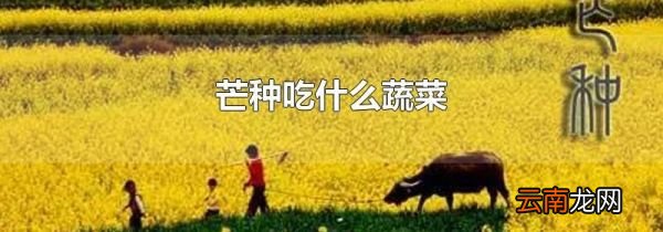 芒种吃什么蔬菜