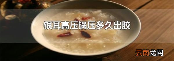 银耳高压锅压多久出胶